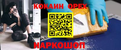 крисы Гай