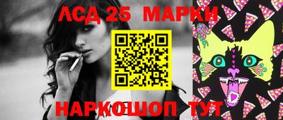 крисы Гай