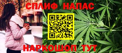 спайс Гатчина