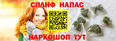 крисы Гай