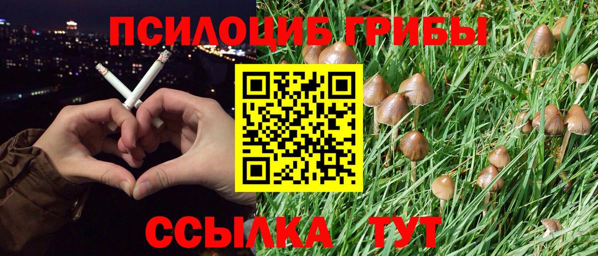 Галлюциногенные грибы Magic Shrooms Долгопрудный